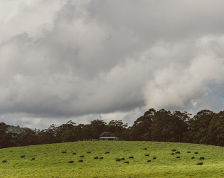 Spicers Peak Lodge