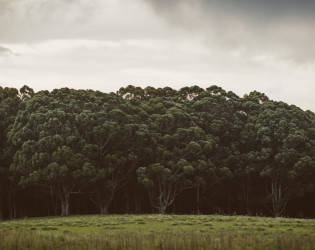 Spicers Peak Lodge