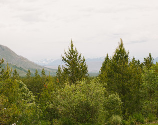 Glacier Park Weddings at Great Northern Resort