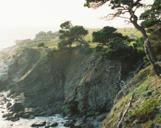 Sea Ranch Lodge