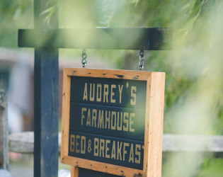 Audrey's Farmhouse + The Greenhouses