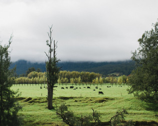 The Barn On Melross