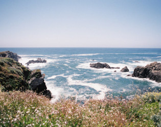 Sea Ranch Lodge