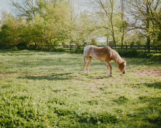 The Barn in Zionsville