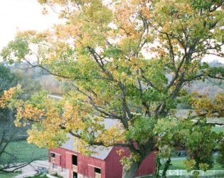 Birch Hill Barn