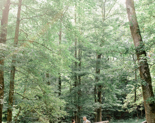 The Ruins at Kellum Valley Farm