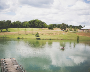 Mint Springs Farm