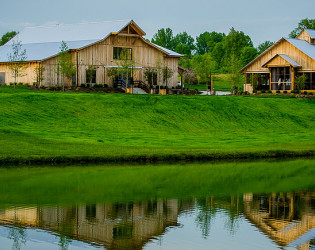 Mint Springs Farm