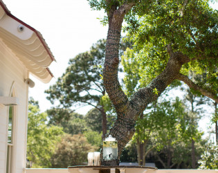 Tybee Island Wedding Chapel & Grand Ballroom