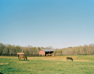 Wolftrap Farm