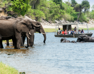 Zambezi Queen