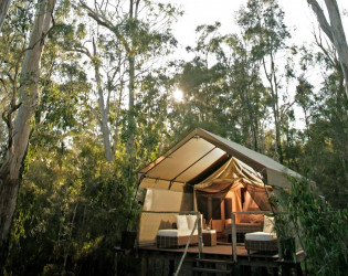 Paperbark Camp