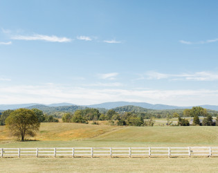 Verulam Farm