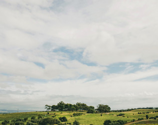 Coriole Vineyards