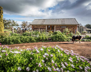 Coriole Vineyards