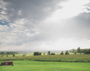 Maple Ridge Farm