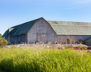 Shanahan's Barn