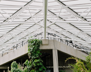 Barbican Conservatory