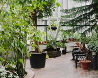 Barbican Conservatory