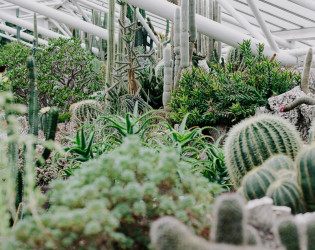 Barbican Conservatory