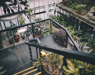 Barbican Conservatory