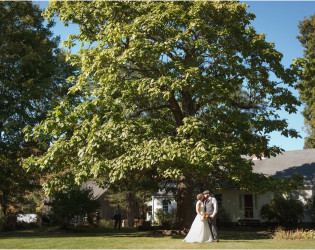 Caswell Farm & Wedding Barn