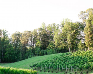 Potomac Point Winery & Vineyard