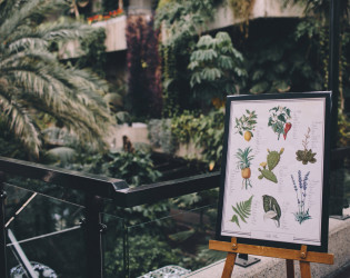 Barbican Conservatory