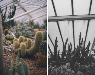 Barbican Conservatory