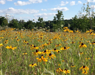 Conservancy for Cuyahoga Valley National Park