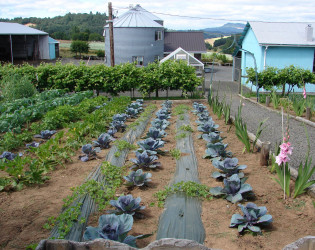 Abbey Road Farm Bed & Breakfast