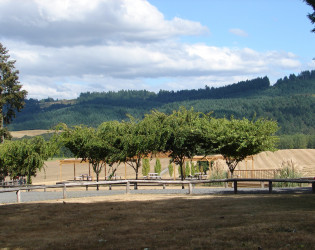 Abbey Road Farm Bed & Breakfast