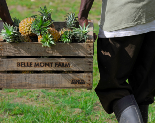 Belle Mont Farm