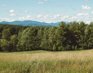 Bliss Ridge Farm