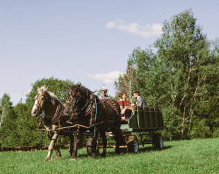 Bliss Ridge Farm