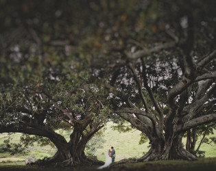 Bush Bank Weddings