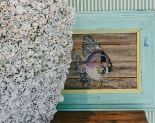 The Boathouse Shelly Beach