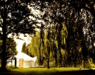 Wedding Yurts Ltd