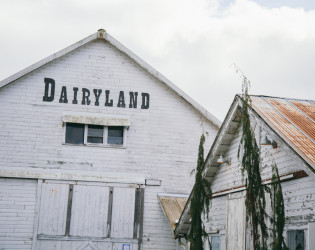 Dairyland