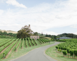 Black Barn Vineyards