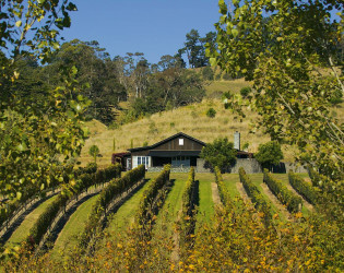 Black Barn Vineyards