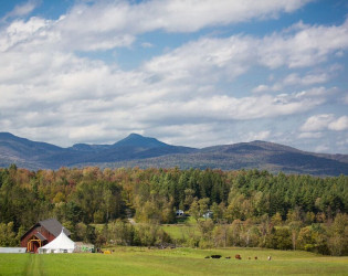 Bliss Ridge Farm