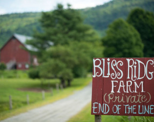 Bliss Ridge Farm