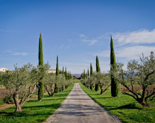 Domaine des Andéols