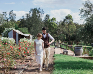 Hanging Tree Wines