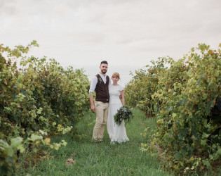 Hanging Tree Wines