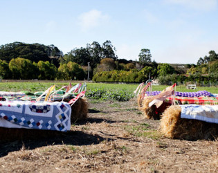 Harley Farms Goat Dairy