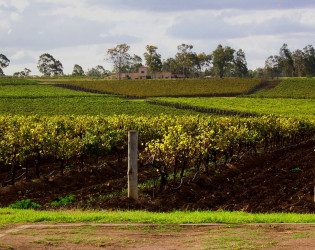 Estate Tuscany