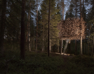 Treehotel