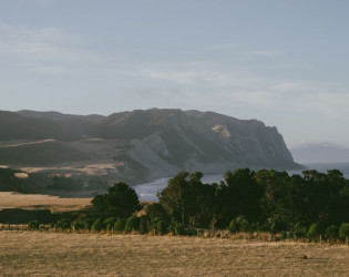 Paripuma Native Garden and Coastal Accommodation